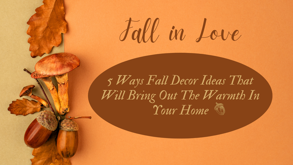 5 Ways Fall Decor Ideas That Will Bring Out The Warmth In Your Home